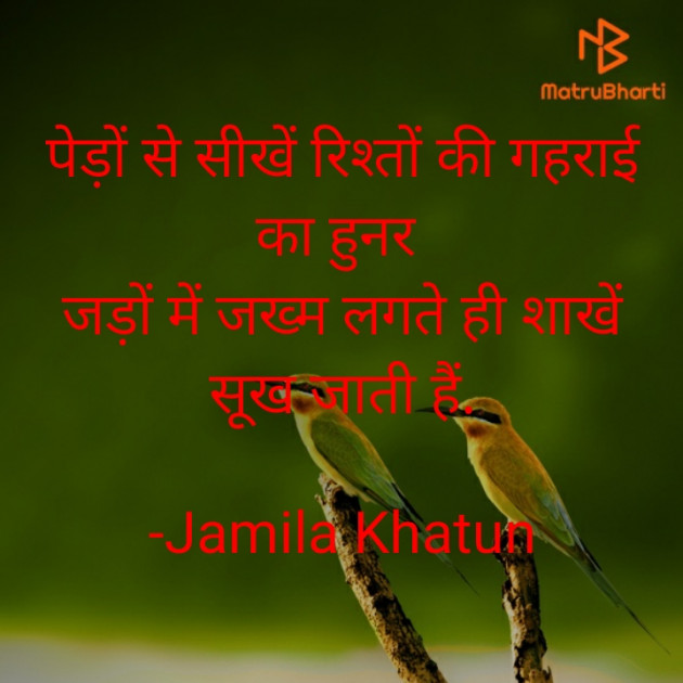 Hindi Motivational by Jamila Khatun : 111769729