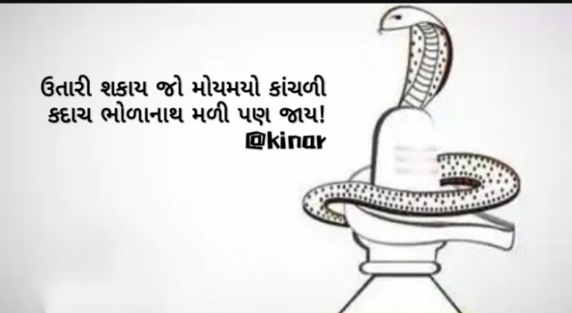 Gujarati Thought by Kinar Rana : 111769883
