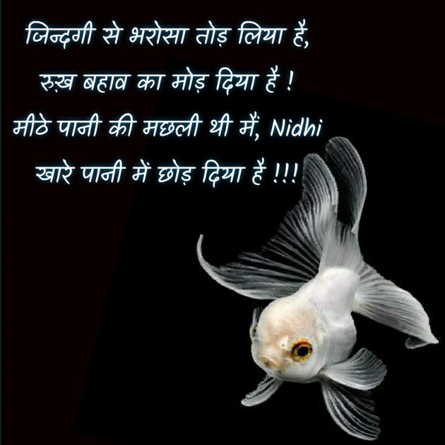 Hindi Blog by Nidhi_Nanhi_Kalam_ : 111769962