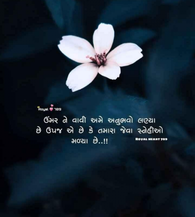 Gujarati Shayri by Balkrishna patel : 111770279