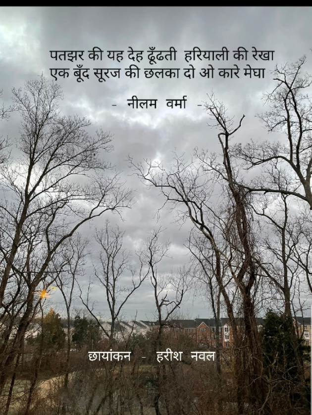 Hindi Poem by Neelam Verma : 111770762