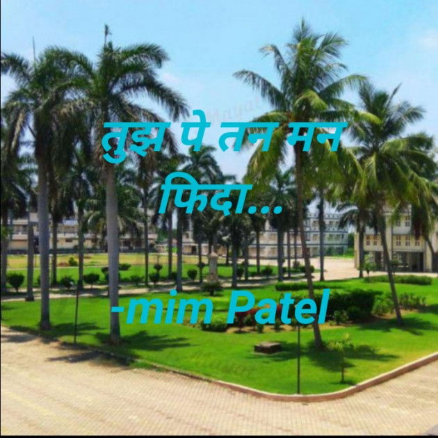 Hindi Blog by mim Patel : 111771055