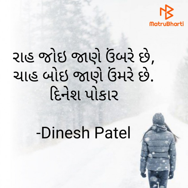 Gujarati Shayri by Dinesh Patel : 111771249