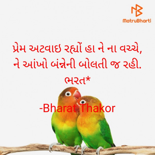 Gujarati Shayri by Bharat : 111771413