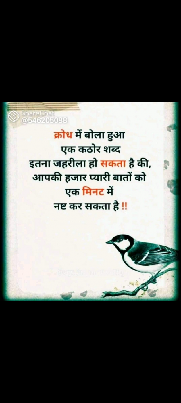 English Shayri by Vishal Kumar99 : 111771497