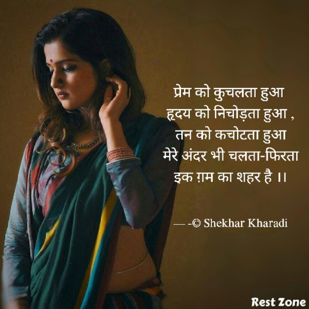 Hindi Blog by shekhar kharadi Idriya : 111771740