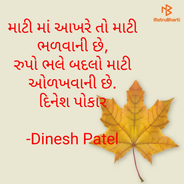 Gujarati Shayri by Dinesh Patel : 111771799