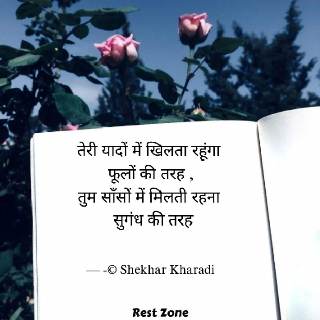 Hindi Blog by shekhar kharadi Idriya : 111772221