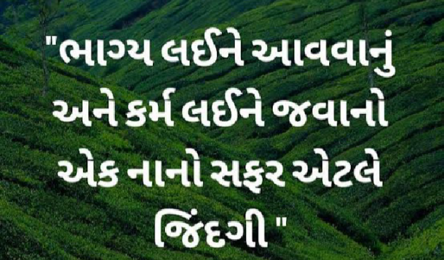 Gujarati Motivational by Mohd Rafik : 111773461