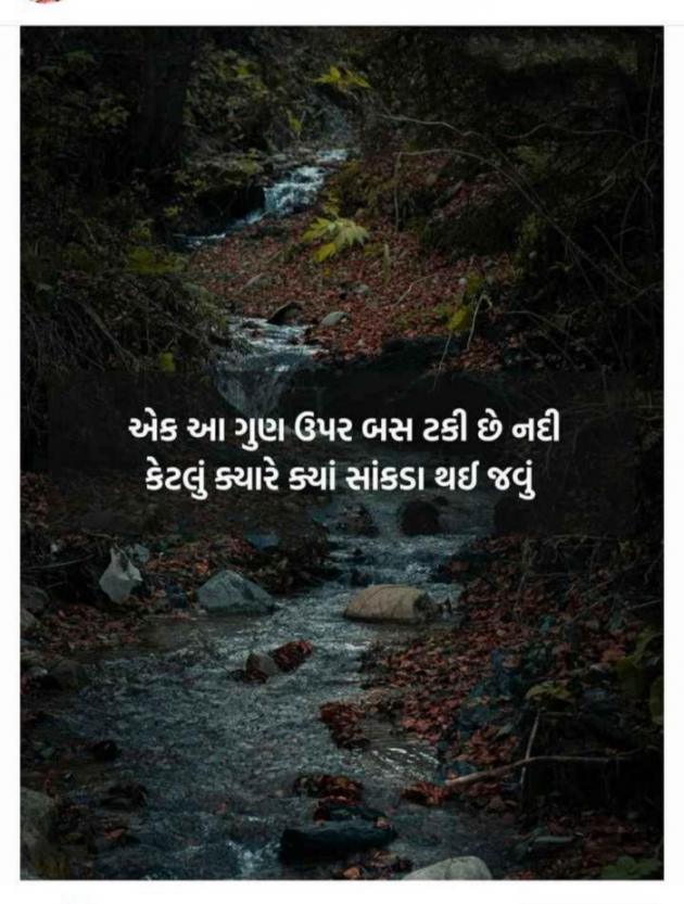 Gujarati Shayri by Balkrishna patel : 111773471