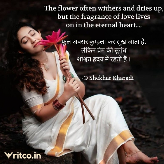 Hindi Blog by shekhar kharadi Idriya : 111773920