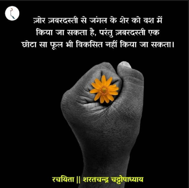 Hindi Whatsapp-Status by नन्दलाल सुथार राही : 111774053