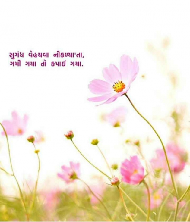 Gujarati Shayri by Balkrishna patel : 111774768