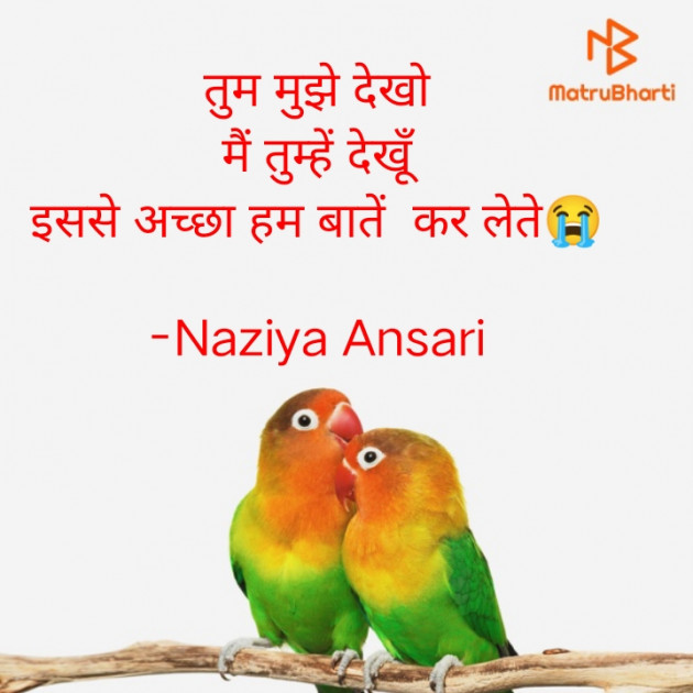 Hindi Sorry by Naziya Ansari : 111775160