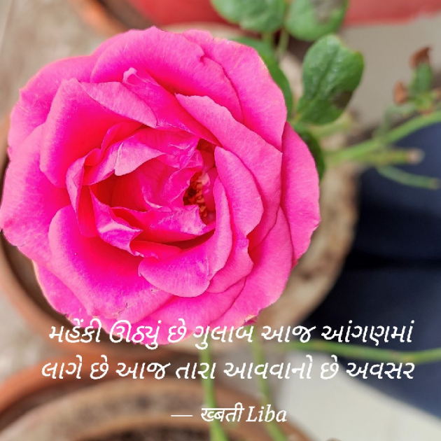 Gujarati Shayri by Hemali : 111775772