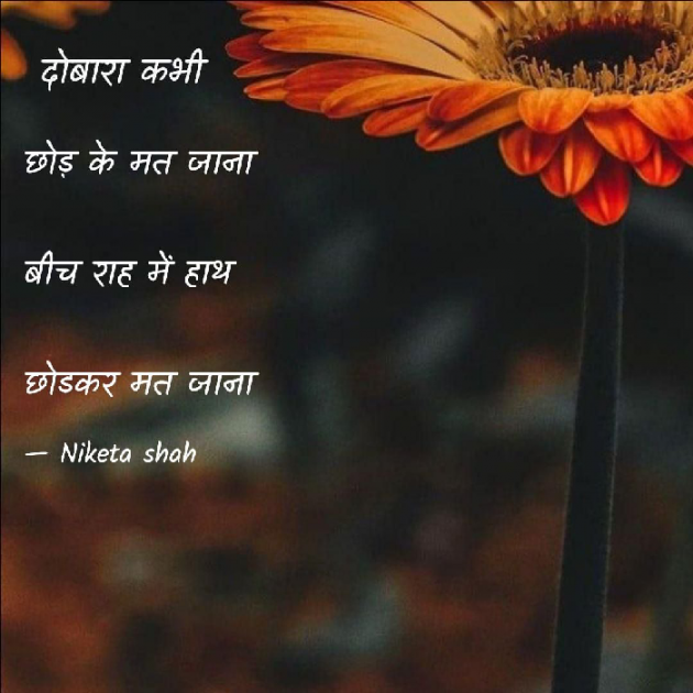 Hindi Romance by NIKETA SHAH : 111776121