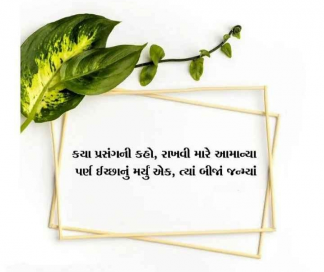Gujarati Shayri by Balkrishna patel : 111776294