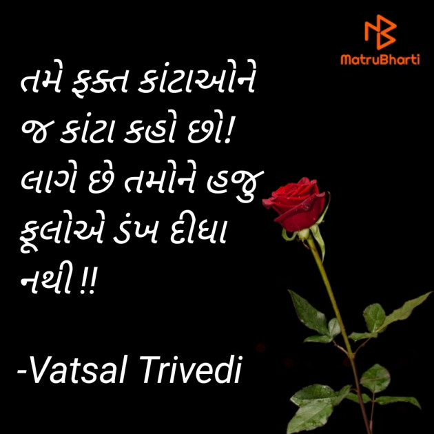 Gujarati Thought by Vatsal Trivedi : 111776314