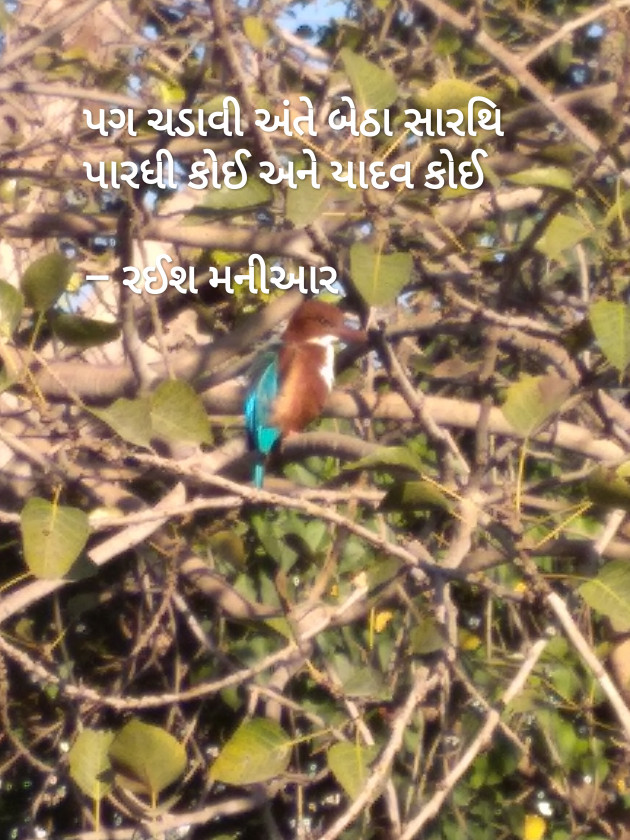 Gujarati Song by Mbhh : 111776784