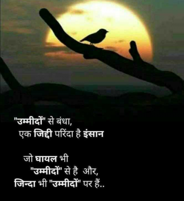 Hindi Blog by P Sandip : 111776793