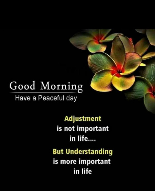 English Good Morning by Ashish 7682 : 111777071