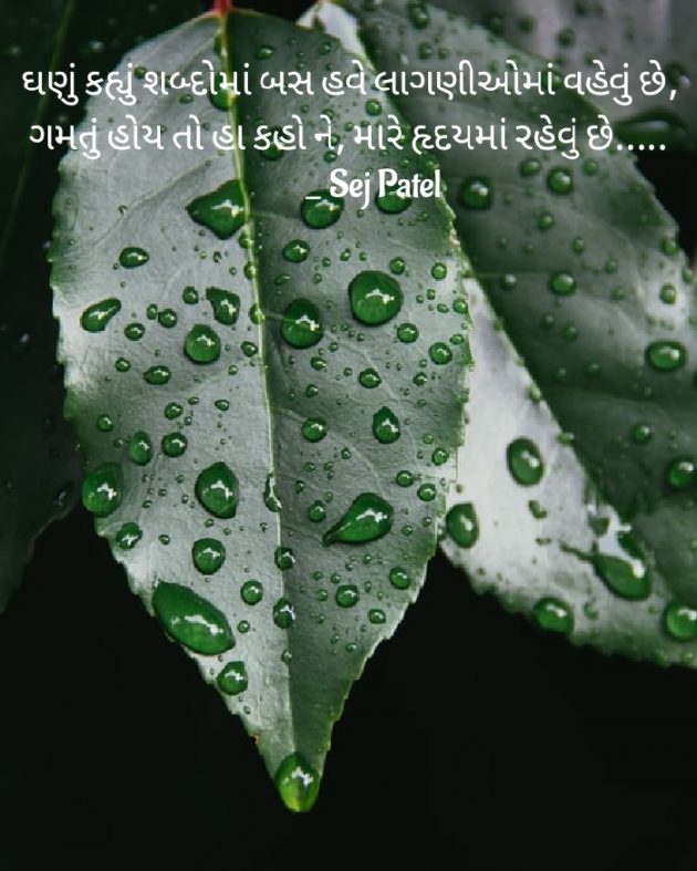 Gujarati Shayri by Sejal Makani : 111777799