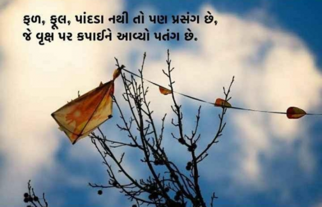 Gujarati Shayri by Balkrishna patel : 111777882