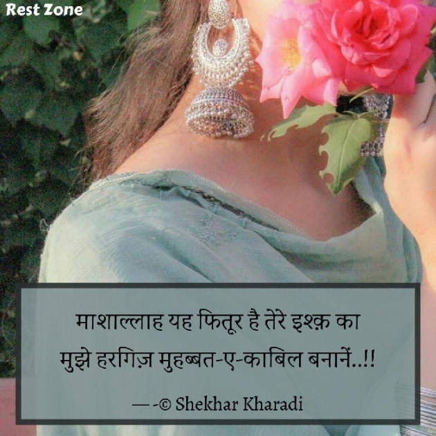 Hindi Blog by shekhar kharadi Idriya : 111778386