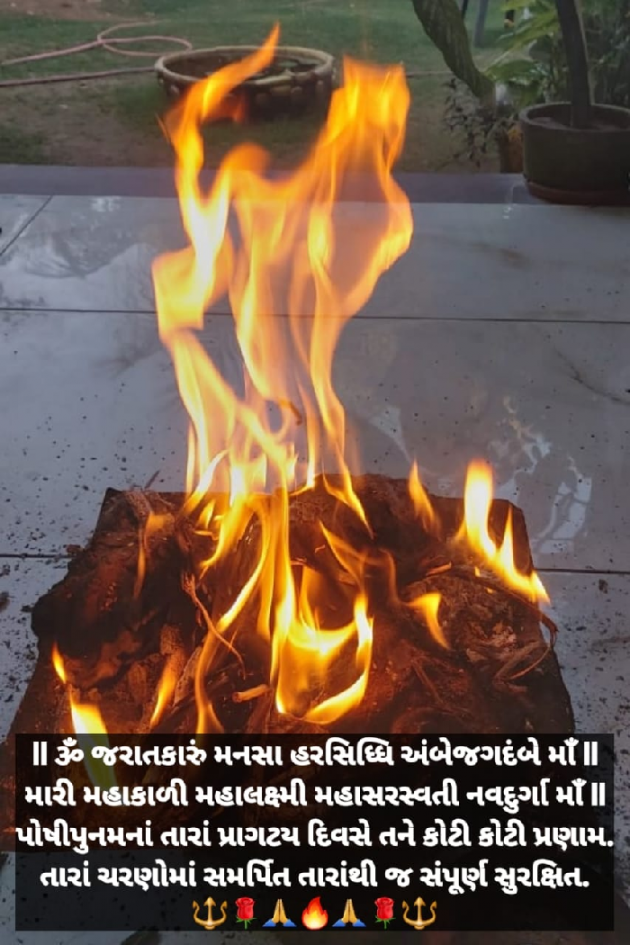Gujarati Blog by Dakshesh Inamdar : 111778401