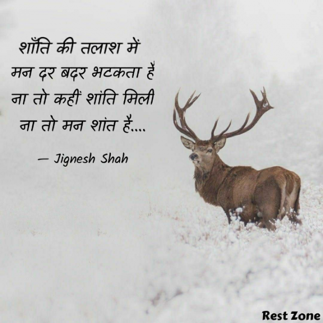 English Quotes by Jignesh Shah : 111778716