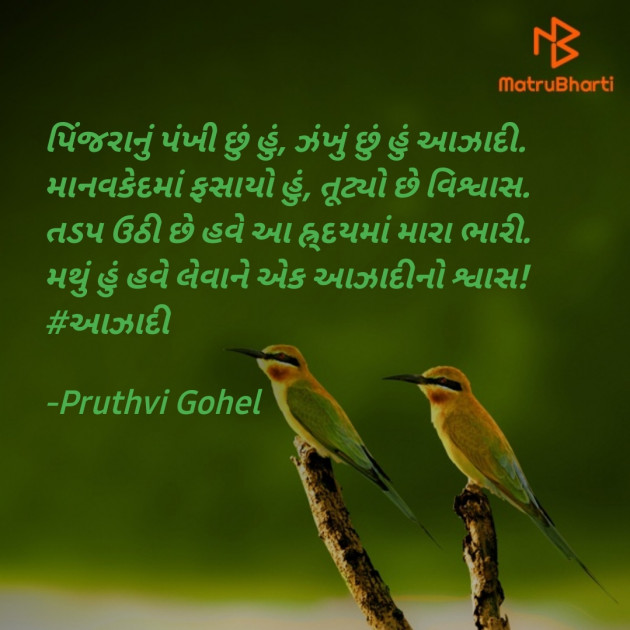 Gujarati Blog by Dr. Pruthvi Gohel : 111778898