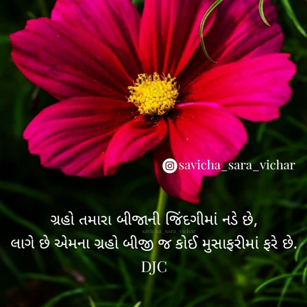 Gujarati Whatsapp-Status by DJC : 111779041