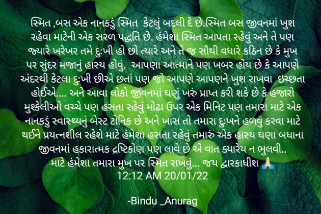 Gujarati Blog by Bindu _Maiyad : 111779138