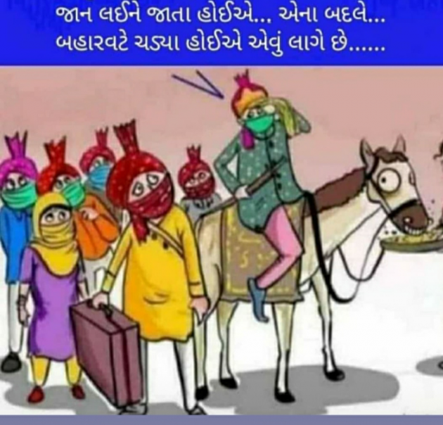 Gujarati Funny by Anurag Basu : 111779262