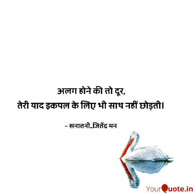 Hindi Shayri by सनातनी_जितेंद्र मन : 111779521