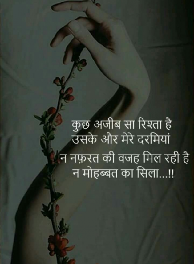 Gujarati Shayri by Balkrishna patel : 111780171