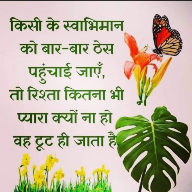 Hindi Motivational by Pranjal Shrivastava : 111781066