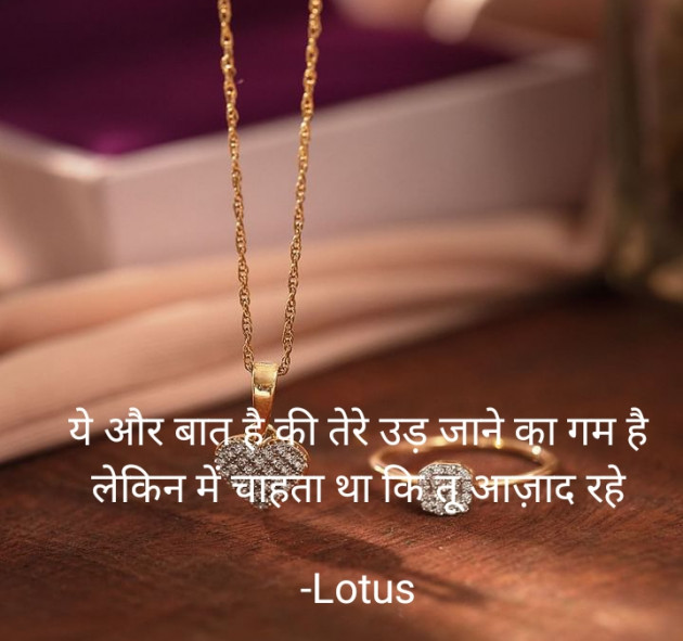 Hindi Good Morning by Lotus : 111781421