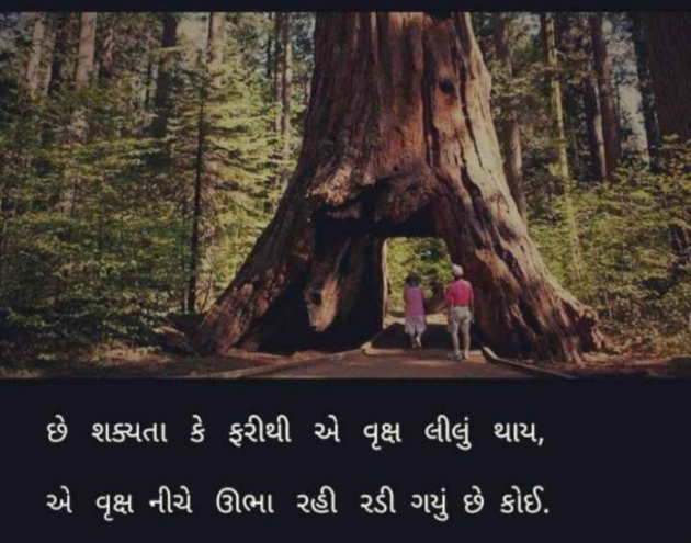 Gujarati Shayri by Balkrishna patel : 111781645