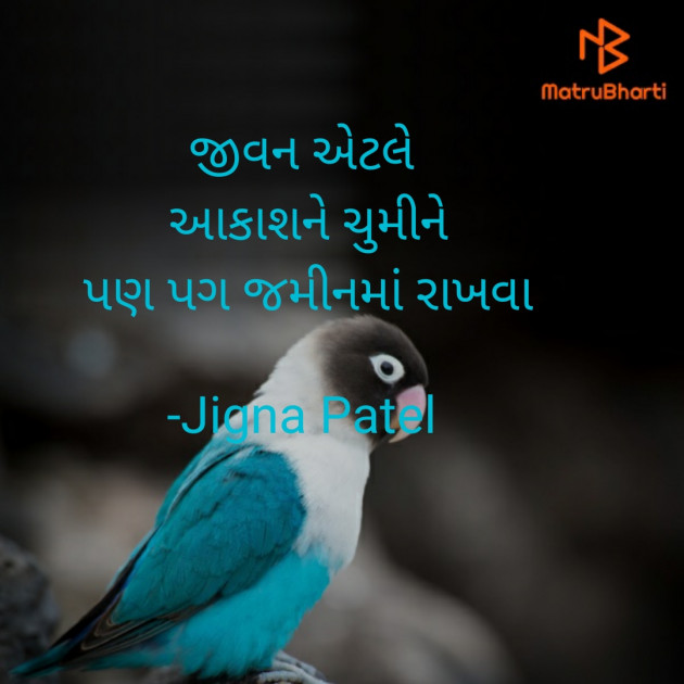 Gujarati Whatsapp-Status by Jigna Patel : 111781877