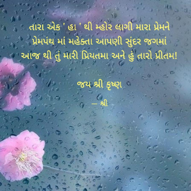 Gujarati Blog by Gor Dimpal Manish : 111782920