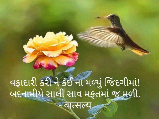 Gujarati Good Night by वात्सल्य : 111784272