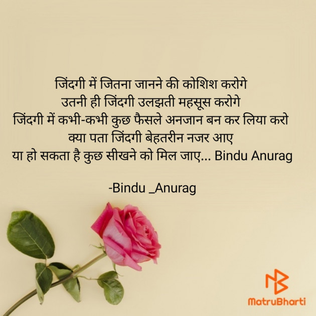 Hindi Blog by Bindu : 111784911