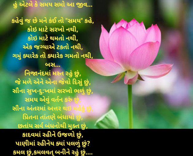 Gujarati Blog by Kamlesh : 111785230