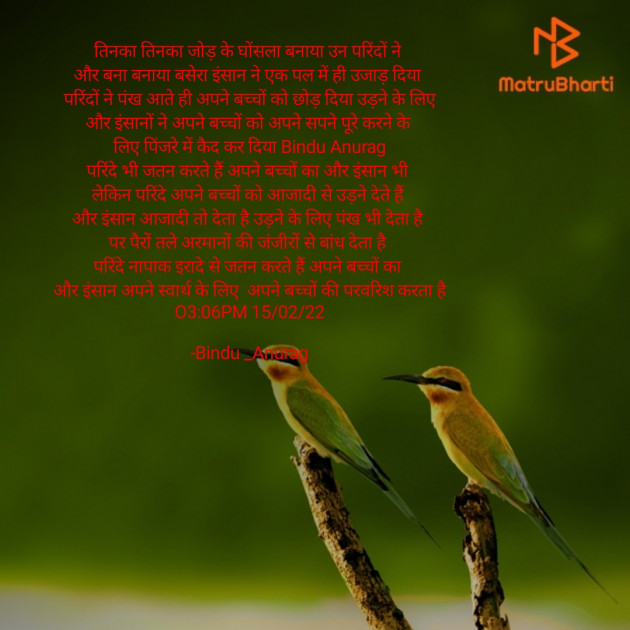 Hindi Blog by Bindu : 111785592