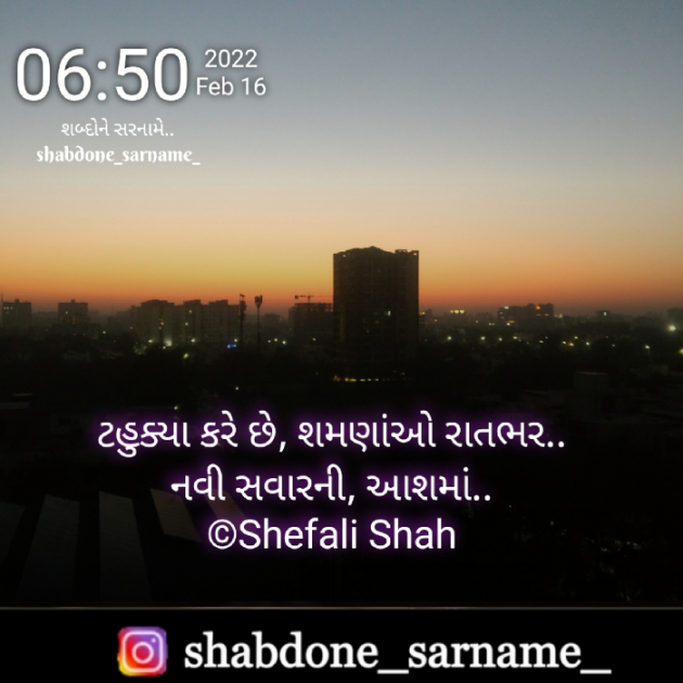 Gujarati Whatsapp-Status by Shefali : 111785678