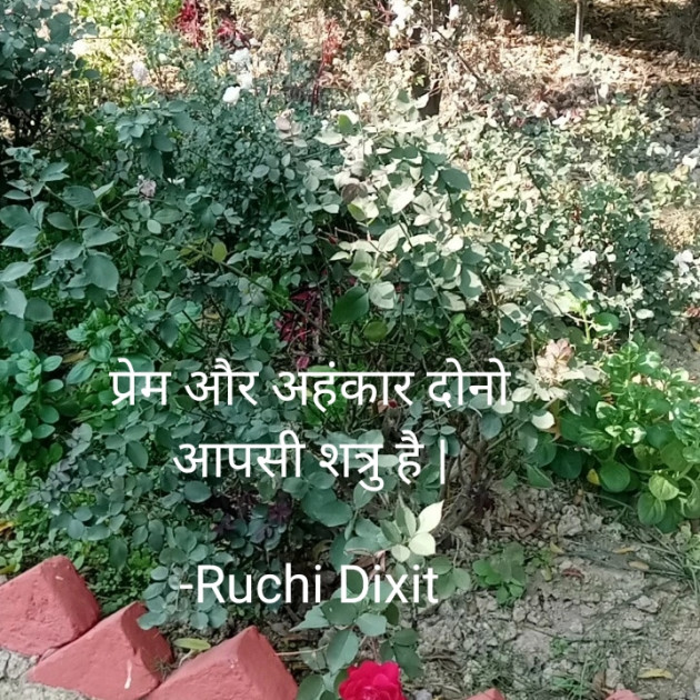 Hindi Whatsapp-Status by Ruchi Dixit : 111785712