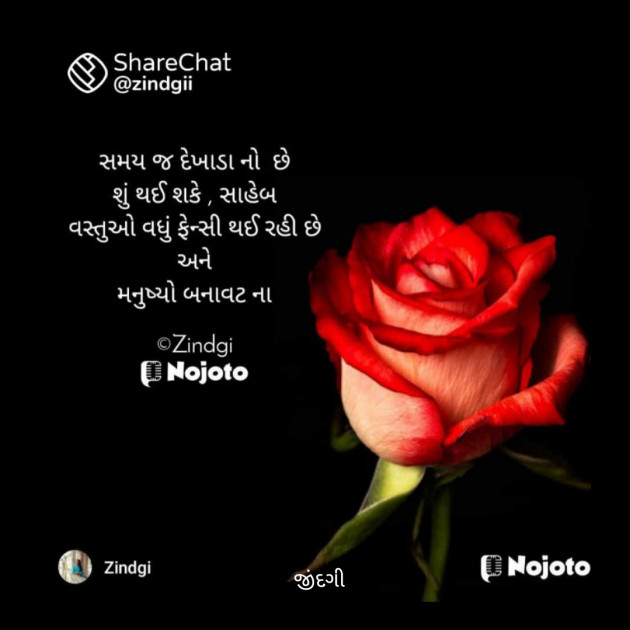 Gujarati Thought by Falguni Maurya Desai _જીંદગી_ : 111786408