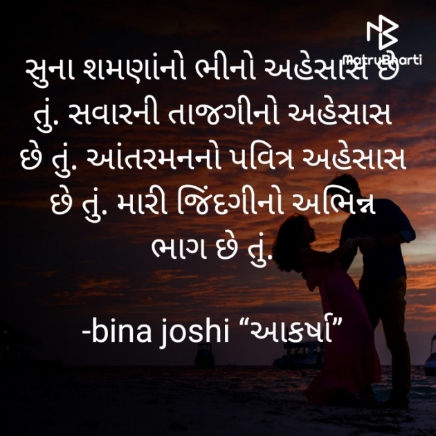 Gujarati Romance by bina joshi : 111786521