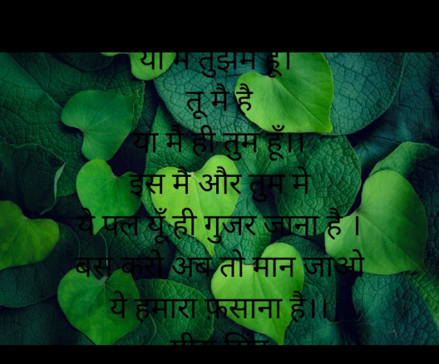 Hindi Poem by Meera Singh : 111786562